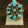 Buy β The Sparkling Spur Jewelry Amazing Turquoise Eyepiece π 2 The Sparkling Spur Jewelry Amazing Turquoise Eyepiece