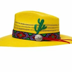 Charlie 1 Horse Mariachi