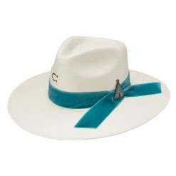 Charlie 1 Horse Old Apache